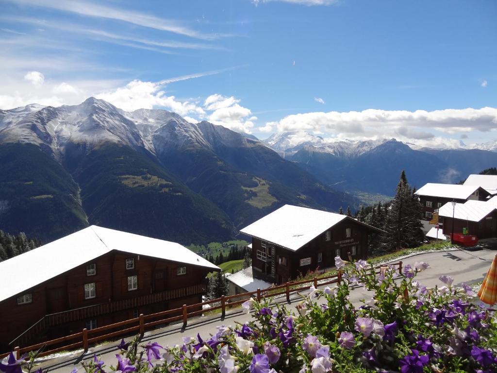 Hotel Alpfrieden Bettmeralp Eksteriør billede