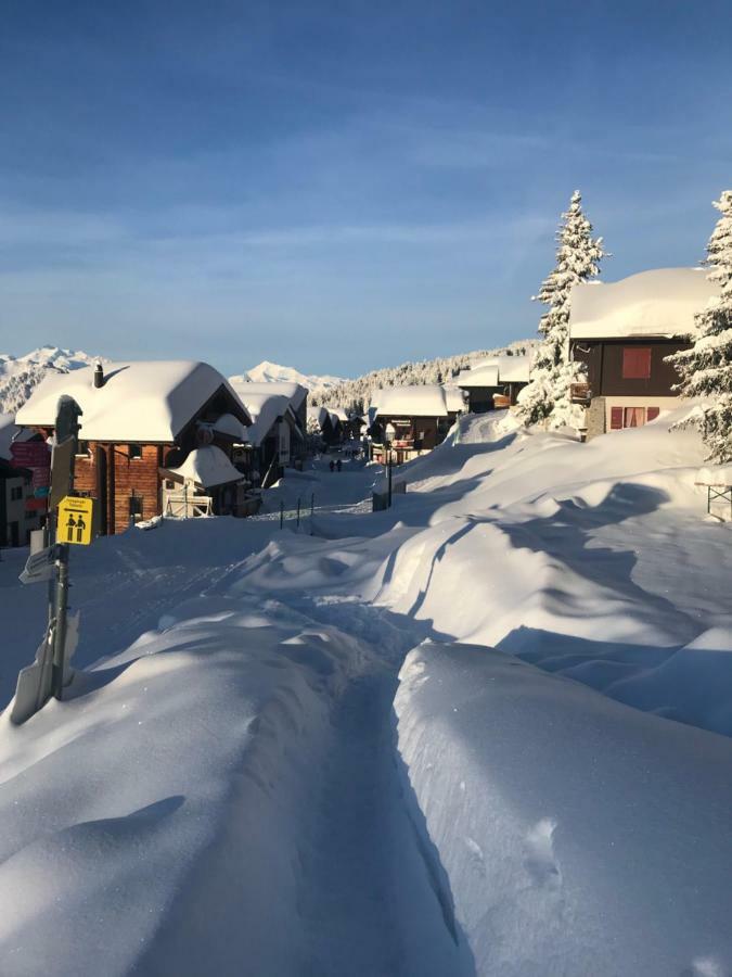 Hotel Alpfrieden Bettmeralp Eksteriør billede